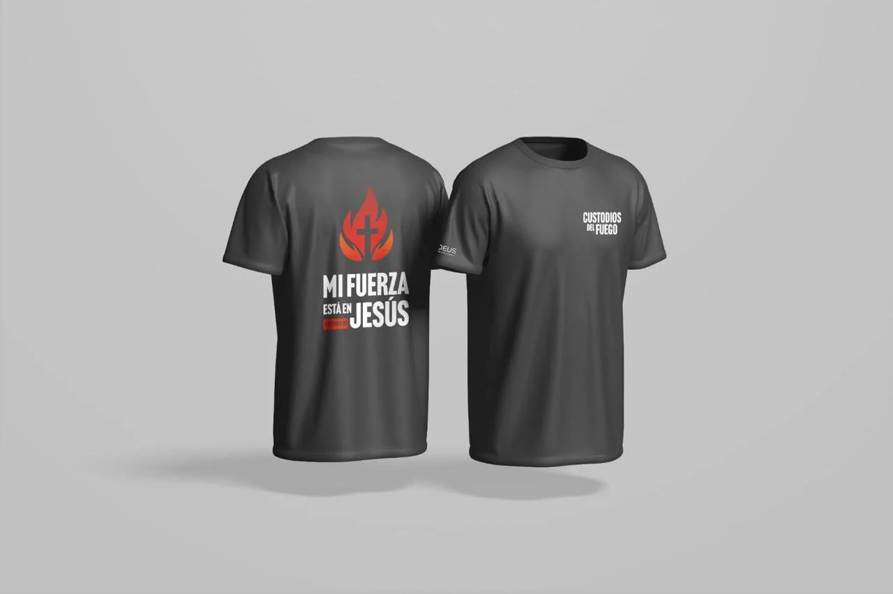 Camiseta gris